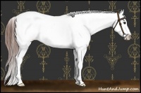 Horse Color:Bay Splash Tobiano Appaloosa  and Bay Splash Tobiano Appaloosa 