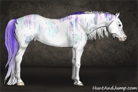 Horse Color:Watercolor White Spotted Bay Ice Splash 