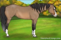Horse Color:Bay Roan Dun Splash
