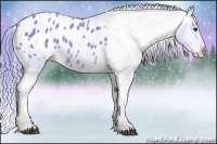 Horse Color:Watercolor Chestnut Appaloosa 