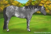 Horse Color:Smoky Black Ice 