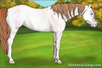 Horse Color:Buckskin Ice Pearl