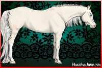 Horse Color:Cremello 