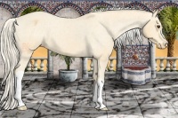Horse Color:Palomino Varnish 