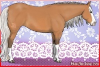 Horse Color:Silver Bay Splash 