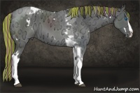 Horse Color:Painted White Spotted Black Ice Splash Tobiano