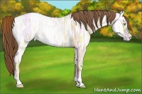 Horse Color:Bay Ice Pearl Dun 
