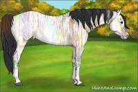 Horse Color:Bay Ice Dun Tobiano