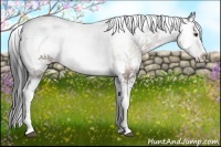Horse Color:Bay Sabino 
