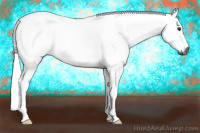 Horse Color:Gray Chestnut 