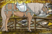 Horse Color:Palomino 