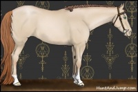 Horse Color:Smoky Black Pearl 