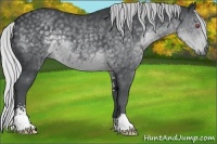Horse Color:Silver Black Chinchilla Sabino