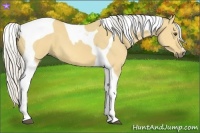 Horse Color:Silver Buckskin Dun Tobiano