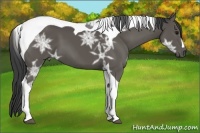 Horse Color:Smoky Black Ice Tobiano 