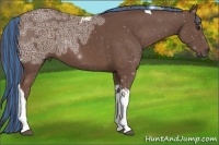 Horse Color:Painted Liver Chestnut Ice Tobiano 