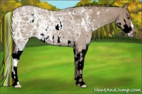 Horse Color:Painted White Spotted Liver Red Dun Ice Splash and Painted Liver Red Dun Ice