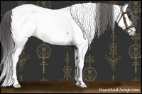 Horse Color:White Spotted Black Fewspot 