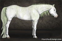 Horse Color:Watercolor Red Dun Ice Roan Splash Rabicano