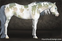 Horse Color:Watercolor White Spotted Bay Onyx Splash 