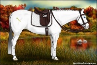 Horse Color:Smoky Black Splash Tobiano Rabicano 