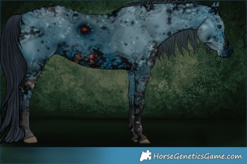 Horse Color:ERROR: UNKNOWN ANOMALY