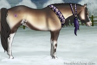 Horse Color:Liver Red Onyx Sabino