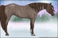 Horse Color:Liver Red Roan Sabino 