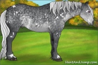 Horse Color:White Spotted Silver Black Chinchilla 