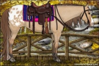 Horse Color:Bay Roan Dun Splash Blanket 