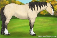 Horse Color:Buckskin Roan Dun Splash