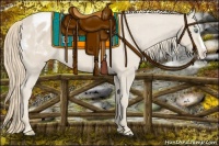 Horse Color:Smoky Creme Blanket 