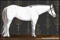 Horse Color:Liver Chestnut Frame Appaloosa 