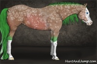 Horse Color:Watercolor Bay Ice Splash 