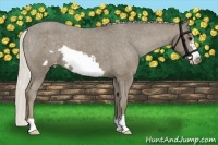 Horse Color:Silver Smoky Black Frame Appaloosa