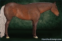 Horse Color:Chocolate Silver Bay Rabicano