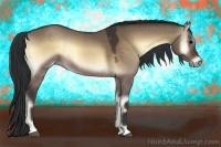 Horse Color:Bay Onyx 