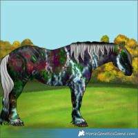 Horse Color:ERROR: UNKNOWN ANOMALY and ERROR: UNKNOWN ANOMALY