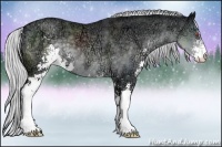 Horse Color:Silver Black Chinchilla Ice Sabino 