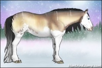 Horse Color:Liver Red Onyx Ice Sabino Splash