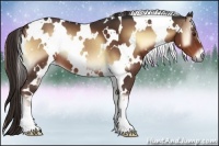 Horse Color:White Spotted Liver Red Onyx