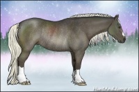 Horse Color:Liver Chestnut Rabicano 