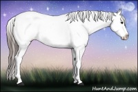 Horse Color:Black Varnish 