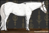 Horse Color:Silver Bay Dun Leopard 