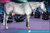 Horse Color:Watercolor Plaid White Spotted Bay Ice Onyx Splash and Watercolor Plaid Bay Ice Onyx Splash