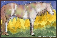 Horse Color:Nacre White Spotted Liver Chestnut Pearl Sabino 