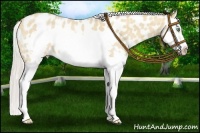 Horse Color:Silver Classic Champagne Roan Dun Splash Frame Near Leopard Rabicano 