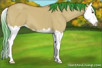 Horse Color:Watercolor Bay Dun Splash 
