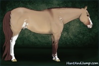 Horse Color:Chocolate Brown Dun Sabino 
