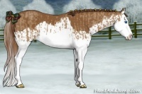 Horse Color:Red Dun Splash  and Chestnut Splash 